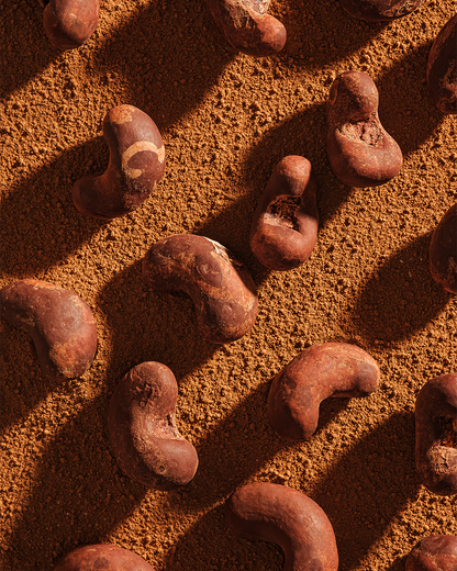 Drágeas de Castanha de Caju com Chocolate 70% Cacau 75g Di Palude